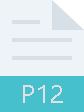 P12文件图标